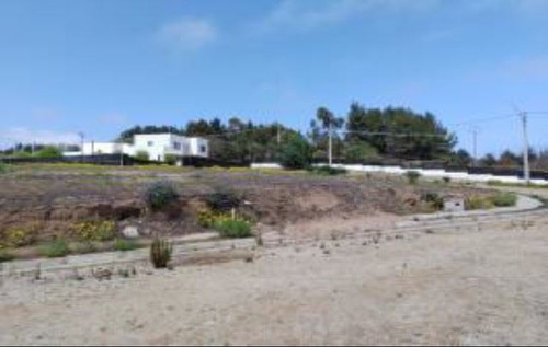 Industrial En Venta En Puchuncaví
