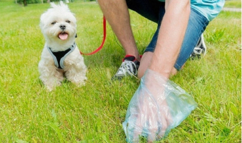Imagen 3 de 10 de Bolsitas Sanitarias Perro Cancat 2 Packs De 10 Rollos C/u