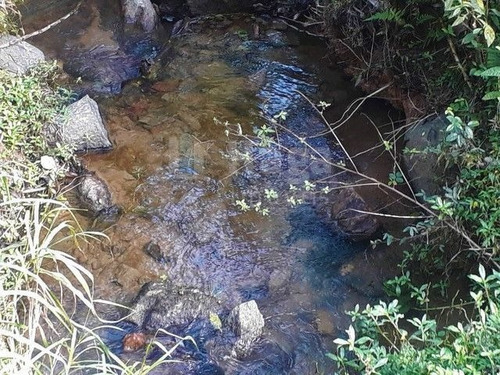 Sítio Rural A Venda Em Benedito Novo/sc - 1738c