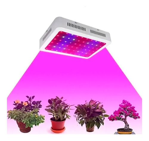 Panel Luz Grow Led Indoor 600w Cultivo Interior