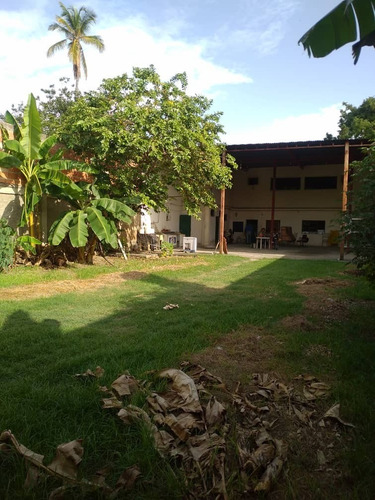 Imagen 3 de 12 de Se Vende Galpón En Palo Negro Al Final De La Calle Gran Demócrata 04243297055