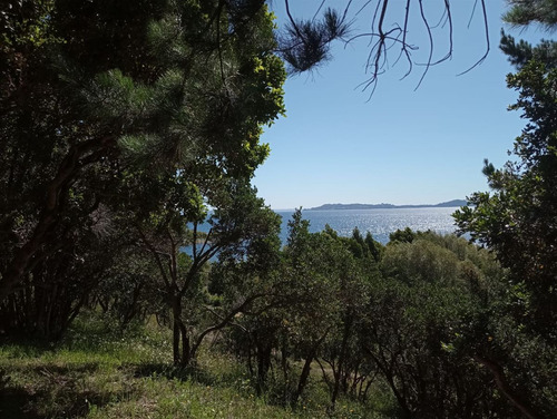 Parcela En Venta En Futrono - Llifen - 1.05 Hectáreas C/rio