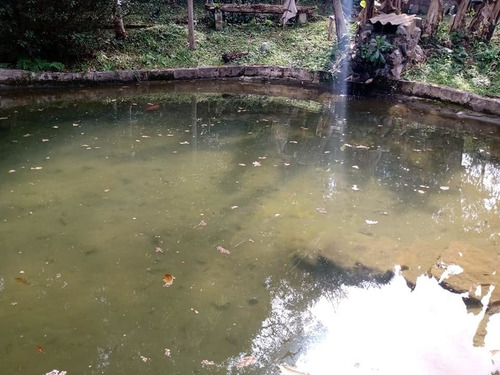 Imagem 1 de 14 de Chácara Em Juquitiba Com Lago Cod: 4476