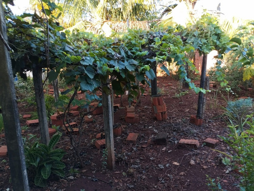 Casa Com 4 Quartos, 322 M², À Venda Por R$ 480.000 - Vila São José - Ribeirão Do Sul/sp