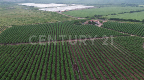 Venta Rancho Los Asmoles Colima