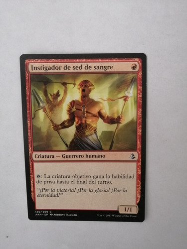 Investigador De Sed De Sangre Magic The Gathering (Usado)