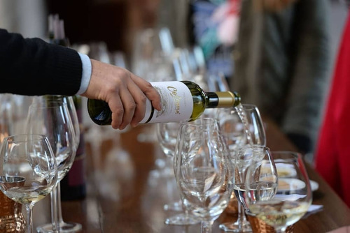 Imagen 3 de 10 de Vino Colomé Torrontés 750ml. - Envíos