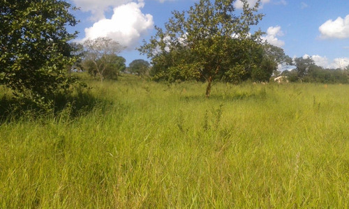 Fazenda A Venda 117 Hectares Com Granja Centro-oeste De Mg - 14532