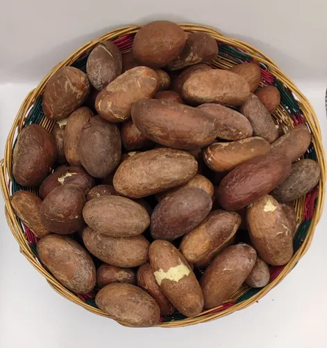 Orogbo | Nuez De Kola Amarga