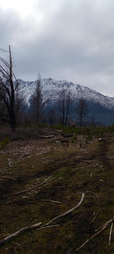 Chacra En Las Golondrinas - Chubut