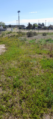 Terreno En Venta En Playa Pascual 1000 Mts Ciudad Del Plata
