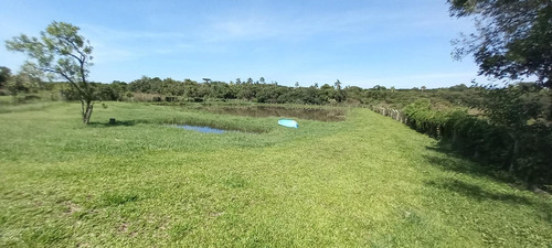 Imagem 2 de 15 de Sítio / Chácara Para Venda Em São José Dos Pinhais, Parque Da Fonte, 3 Dormitórios, 1 Banheiro, 2 Vagas - 149_2-1571896