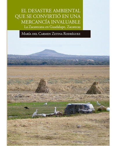 Desastre Ambiental Que Se Convirtio En Una Mercancia Invaluable, El. La Zacatecana En Guadalupe Zacatecas, de ZETINA RODRIGUEZ, MARIA DEL CARMEN. Editorial El Colegio De San Luis en español