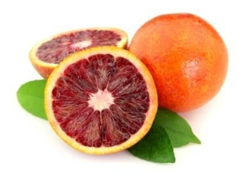 Naranja Sanguínea. Cultivar Tarocco Rosso.