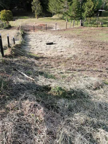 Venta De Lote O Terreno Para Construir Carmen De Viboral, Antioquia