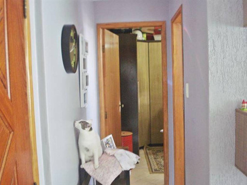 Imagem 16 de 28 de Apartamento 2 Dormitorios No Gonguinha Em Sao Vicente!!! - Hm1561