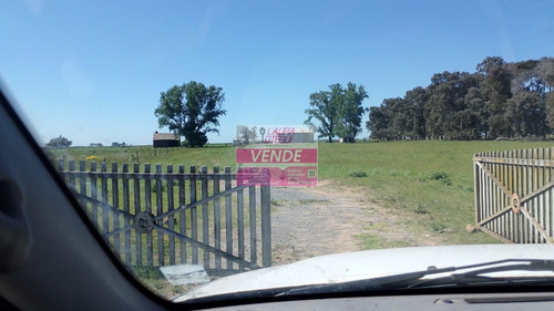 Venta Campo Mixto 130 Has Partido De Ayacucho