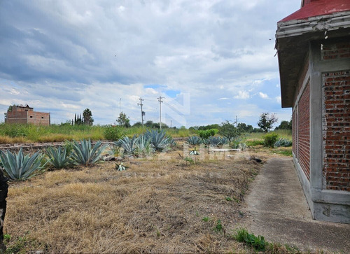 Carretera Celaya - Comonfort: Casa Campestre En Venta