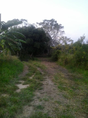 Imagen 4 de 7 de Finca En Tinaquillo En Venta, Berenice Martinez 0424-4041893 Cl-bm223