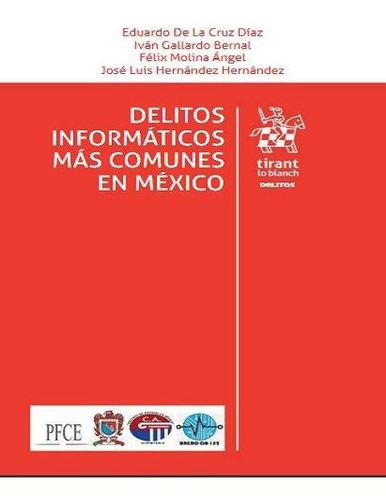 Libro Delitos Informáticos Más Comunes En México