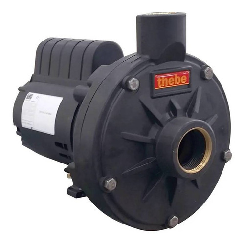 Bomba Th-16p 1,5cv Monofásica 127/220v Mt-thebe