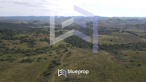 Campo En Venta De 190 Has Con Historica Calera Y Olivos A Sólo 15 Km De Pueblo Eden.