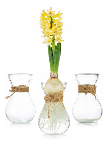 Glasseam Jarron Cristal Transparente Para Flor Juego 3 S