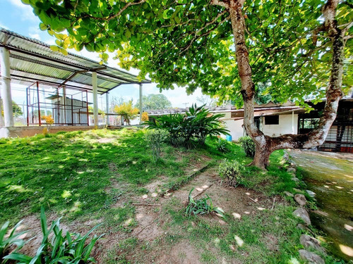 Imagen 2 de 12 de Se Vende Casas De Campo 2806m² 5h4b6p En Barlovento