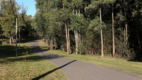 Venta Lote Terreno Campo Timbó Club De Campo Golf