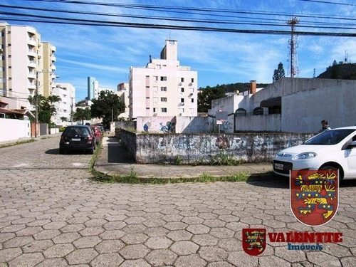 Imagem 14 de 14 de Terreno - Trindade - Ref: 761 - V-761
