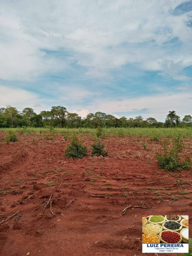 Fazenda À Venda Em Formoso Do Araguaia-to-de 400 Alqueirões (dupla Aptidão) - 1604
