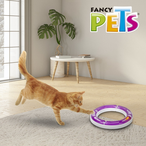 Fancy Pets Juguete Gato Play Circuito Interactivo C/pelota