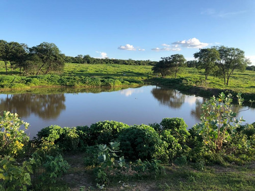 Imagem 18 de 25 de Linda Fazenda Na Bahia!!!!!