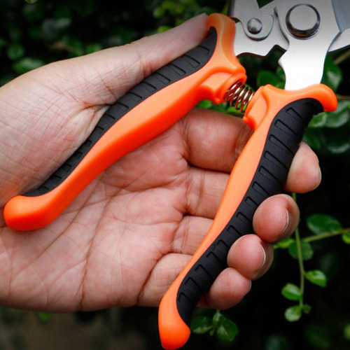 Tijeras Hortícolas Con Forma De Pico De Pájaro