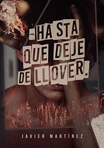 Libro : Hasta Que Deje De Llover  - Martinez, Javier _j