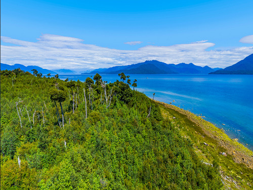 Terreno En Venta En Puerto Cisnes