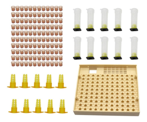 Kit De Caja De Crianza De Abejas Reina, Jaula De Apicultura,