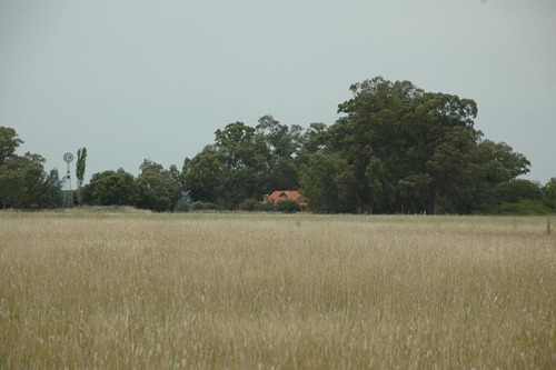 Casa Campo  En Venta En Las Flores, Resto De La Provincia, Buenos Aires