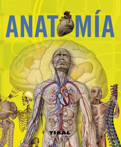 Libro Anatomã­a