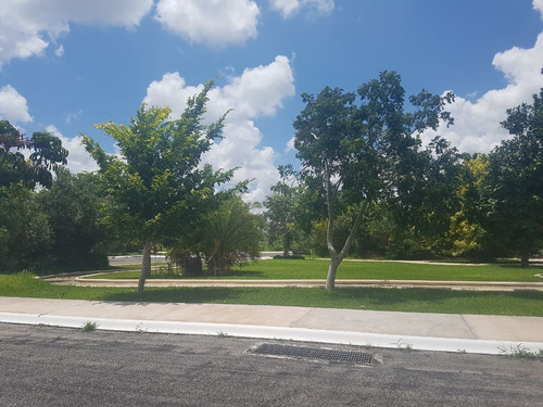 Imagen 8 de 8 de Terrenos En Venta En Privada Artisana
