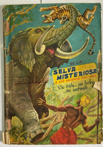 De La Selva Misteriosa, Álbum De Figuritas, Completo, Ca1