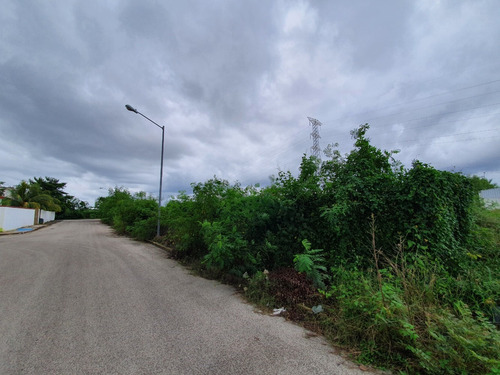 Imagen 9 de 11 de Terrenos En Venta Sobre Avenida En Calle 70 De Caucel
