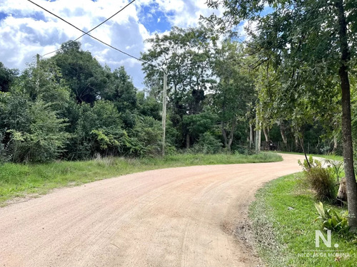 Terreno En Piedras Del Chileno En Venta