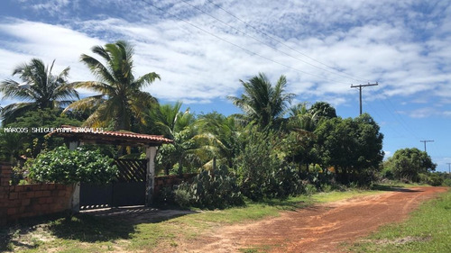 Imagem 1 de 15 de Sítio / Chácara Para Venda Em Camaçari, Monte Gordo (monte Gordo) - Da0117_2-1403407