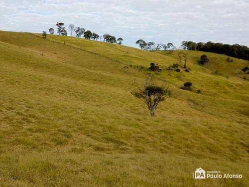 Imagem 16 de 16 de Sítio À Venda, 446000 M² Por R$ 850.000,00 - Zona Rural - Caldas/mg - Si0009