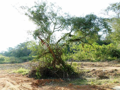 Imagem 2 de 10 de Terreno - Belem Novo - Ref: 225471 - V-225471