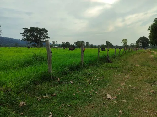 Em Finca En Venta En La Fría