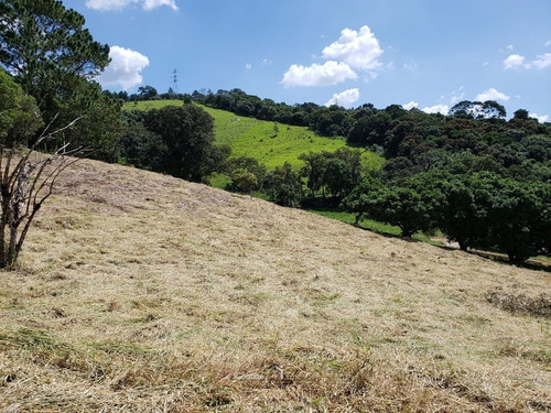 Imagem 14 de 15 de Lotes Para Chácara Dentro De Condomínio Em Atibaia - Ar0004-1