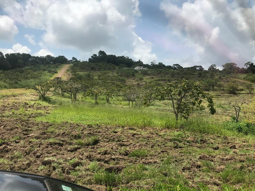 Imagem 8 de 14 de Bv5 Lote 600 M2 Proximo A Represa, Com Documentação Toda Ok