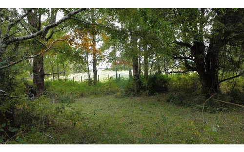Plot In Pucón, Los Riscos Safe Investment